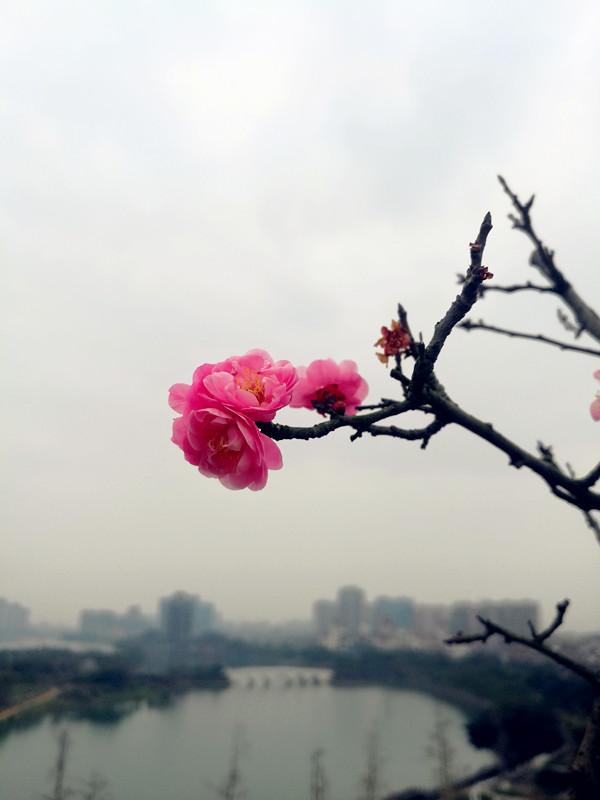 微信图片_20200214152522.jpg
