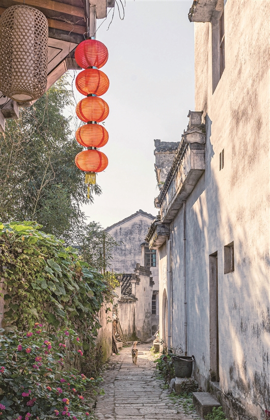 方华 摄.jpg